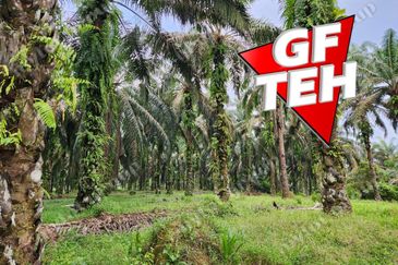 8.457 acres Agricultural Land Selama Perak Rm3.68psf