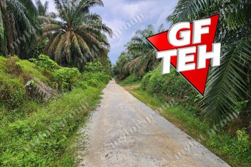 8.457 acres Agricultural Land Selama Perak Rm3.68psf