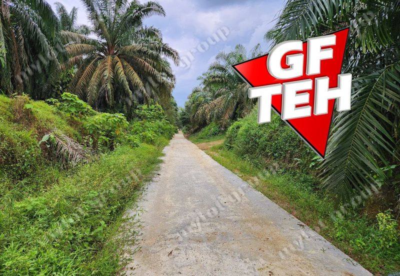 8.457 acres Agricultural Land Selama Perak Rm3.68psf
