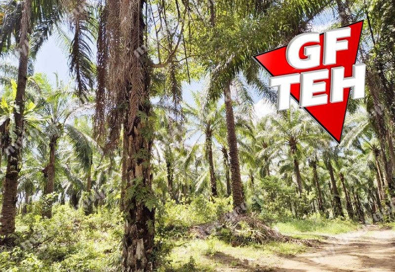 Kuala Ketil Commercial Center