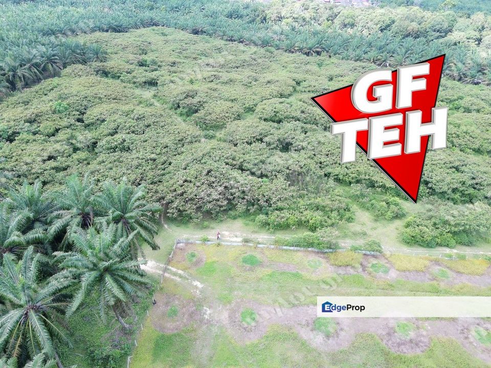 12.813 Acres | Agriculture Land | Zoning Residential | Sungai Kob | Karangan | KEDAH Rm4psf b, Kedah, Kulim