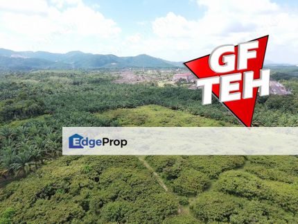 12.813 Acres | Agriculture Land | Zoning Residential | Sungai Kob | Karangan | KEDAH Rm4psf b, Kedah, Kulim