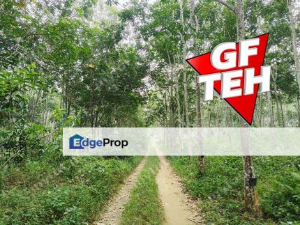 5.03 acres Agricultural Land | Sauk | Perak | For Sale Rm3.90psf k, Perak, Ipoh