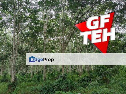 5.03 acres Agricultural Land | Sauk | Perak | For Sale Rm3.90psf k, Perak, Sauk