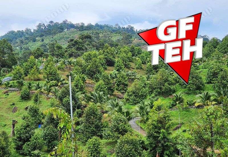 18.287 acres Kamunting | Perak | Durian Plantation | Malaysia Agricultural Awards b