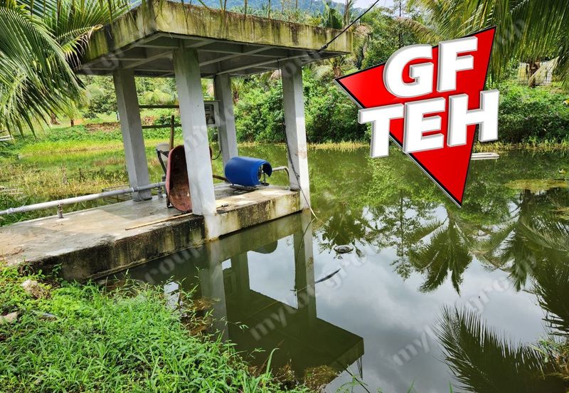 18.287 acres Kamunting | Perak | Durian Plantation | Malaysia Agricultural Awards b