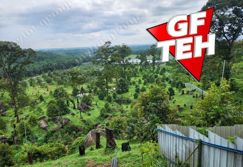 18.287 acres Kamunting | Perak | Durian Plantation | Malaysia Agricultural Awards b