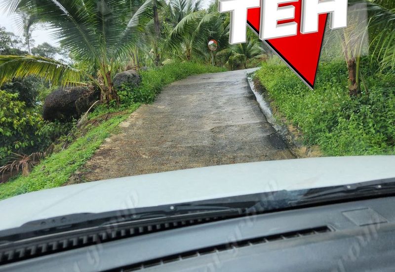 18.287 acres Kamunting | Perak | Durian Plantation | Malaysia Agricultural Awards b