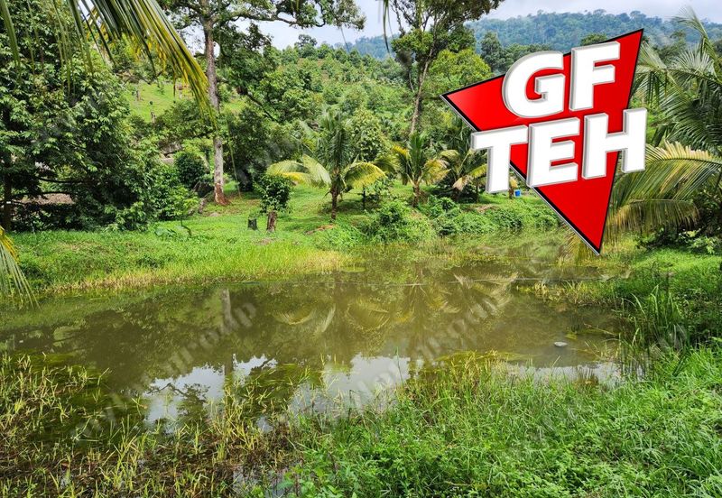 18.287 acres Kamunting | Perak | Durian Plantation | Malaysia Agricultural Awards b