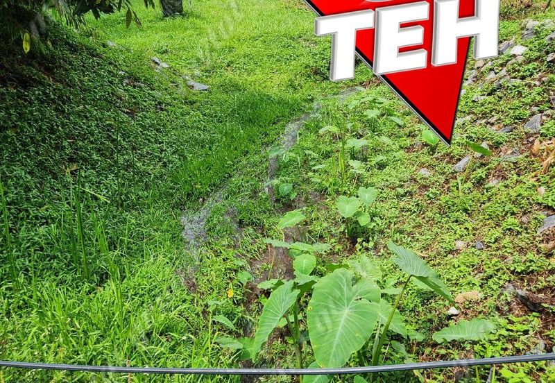 18.287 acres Kamunting | Perak | Durian Plantation | Malaysia Agricultural Awards b