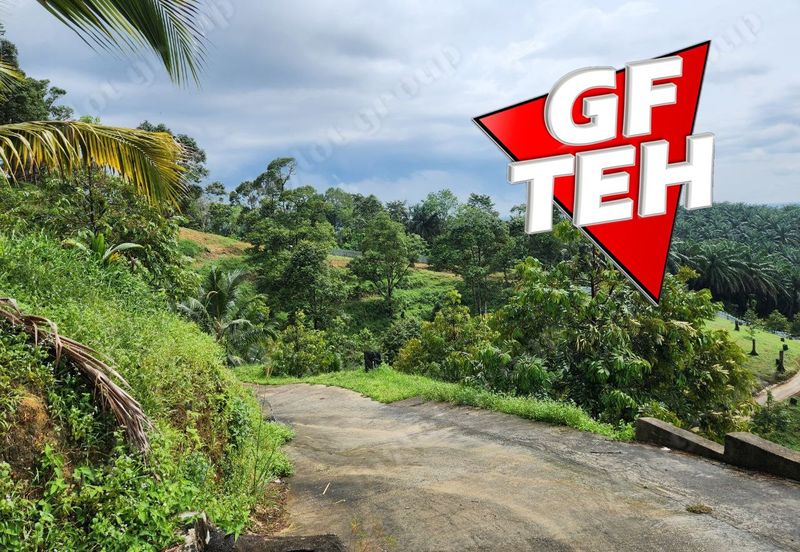 18.287 acres Kamunting | Perak | Durian Plantation | Malaysia Agricultural Awards b