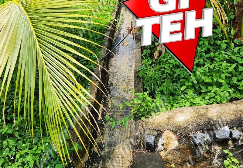 18.287 acres Kamunting | Perak | Durian Plantation | Malaysia Agricultural Awards b