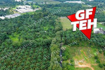 Kampung Baru Macang Bubok