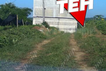 Kampung Baru Macang Bubok