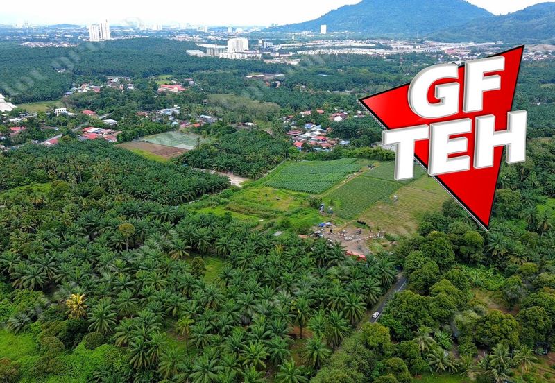 Kampung Baru Macang Bubok