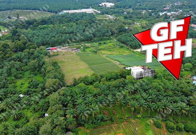 Kampung Baru Macang Bubok