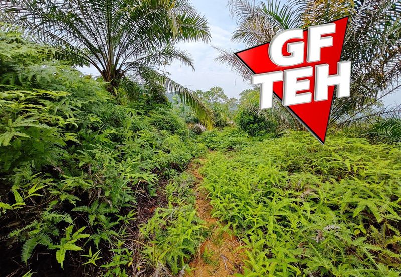 16.64 Acres Agricultural Land | Selama | Perak 1.8 psf t