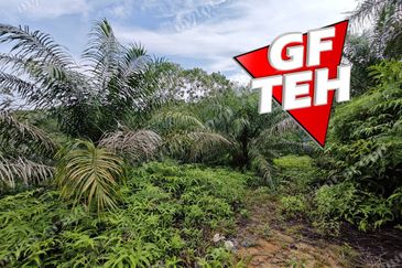 16.64 Acres Agricultural Land | Selama | Perak 1.8 psf t