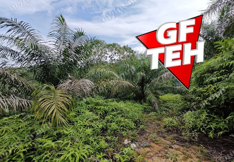 16.64 Acres Agricultural Land | Selama | Perak 1.8 psf t