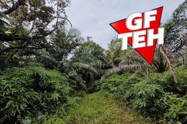 16.64 Acres Agricultural Land | Selama | Perak 1.8 psf t
