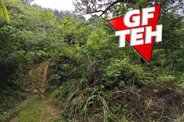 16.64 Acres Agricultural Land | Selama | Perak 1.8 psf t