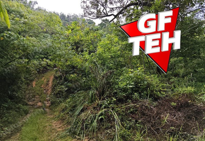 16.64 Acres Agricultural Land | Selama | Perak 1.8 psf t