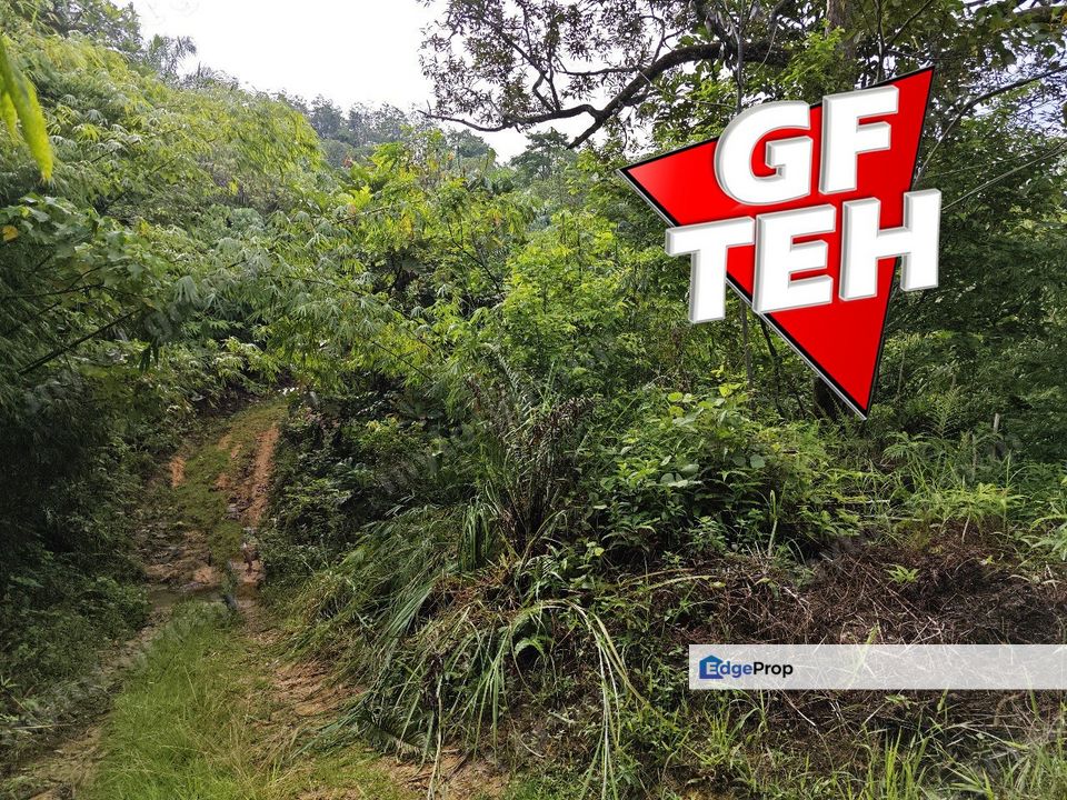 16.64 Acres Agricultural Land | Selama | Perak 1.8 psf t, Perak, Selama