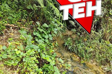 16.64 Acres Agricultural Land | Selama | Perak 1.8 psf t