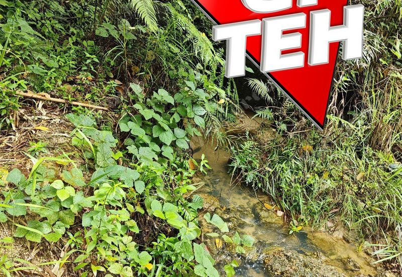 16.64 Acres Agricultural Land | Selama | Perak 1.8 psf t