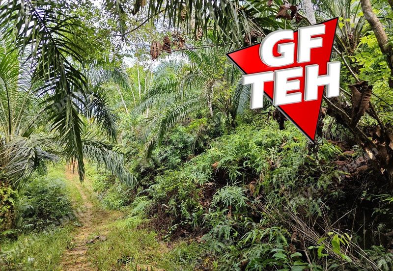 16.64 Acres Agricultural Land | Selama | Perak 1.8 psf t