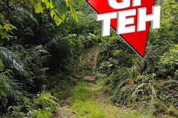 16.64 Acres Agricultural Land | Selama | Perak 1.8 psf t