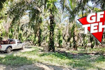 Kampung Baru Junjong