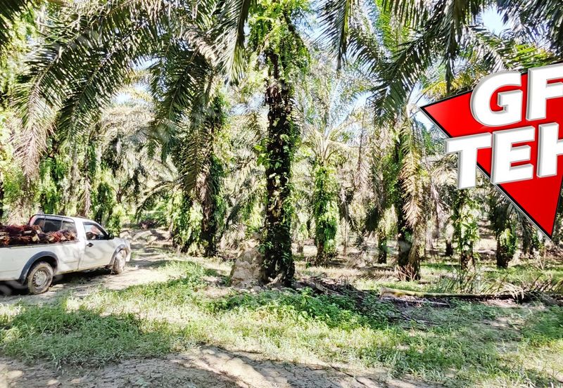 Kampung Baru Junjong