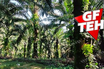 Kampung Baru Junjong