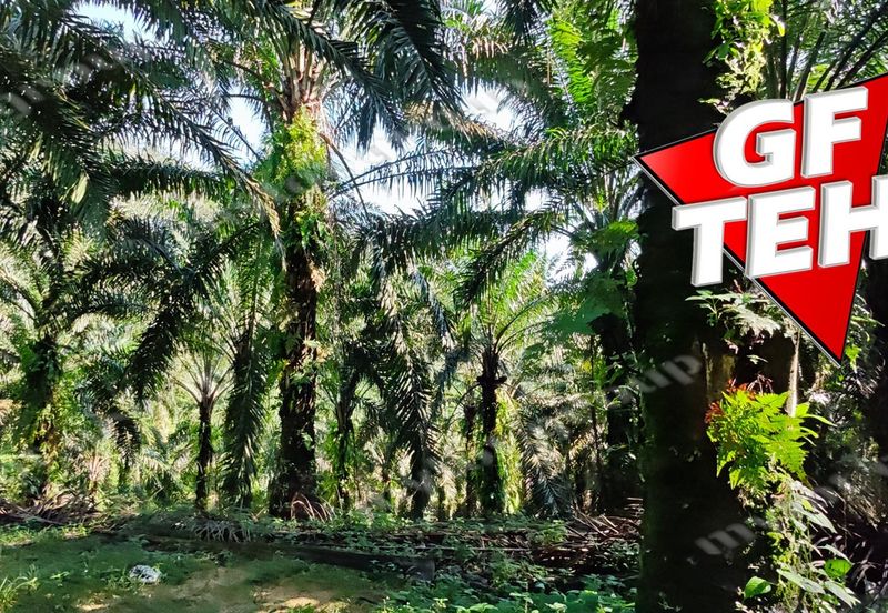 Kampung Baru Junjong