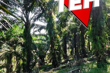 Kampung Baru Junjong