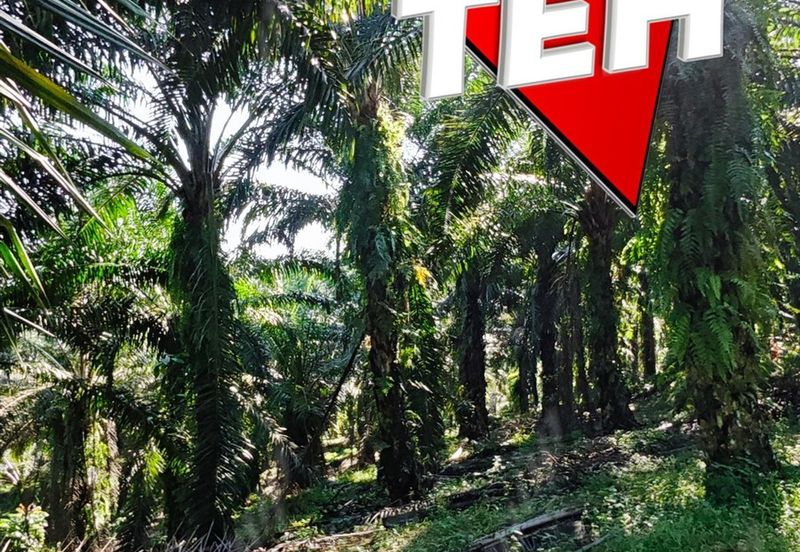 Kampung Baru Junjong