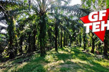 Kampung Baru Junjong