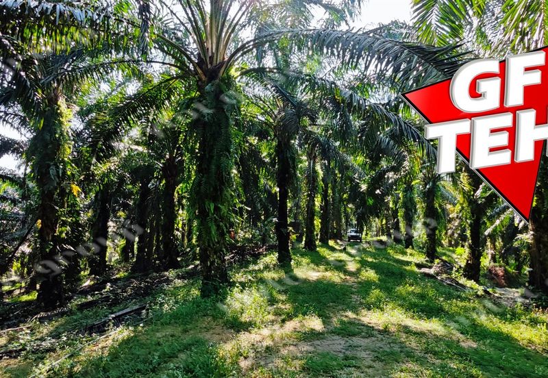 Kampung Baru Junjong