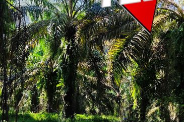 Kampung Baru Junjong