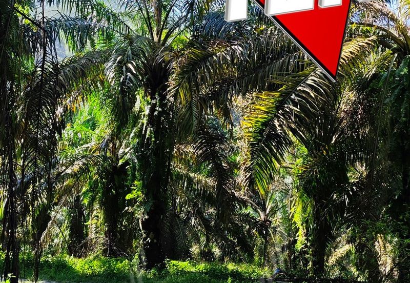 Kampung Baru Junjong