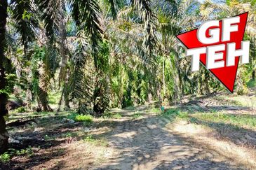 Kampung Baru Junjong