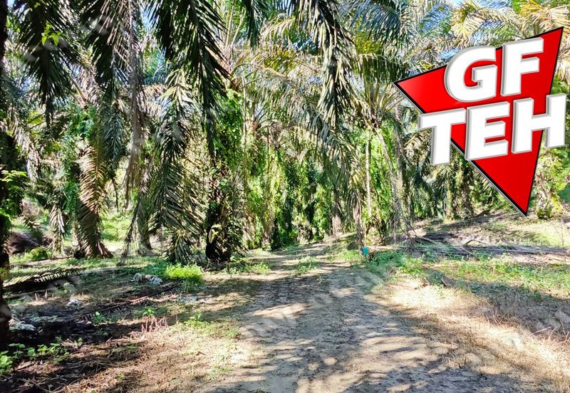 Kampung Baru Junjong