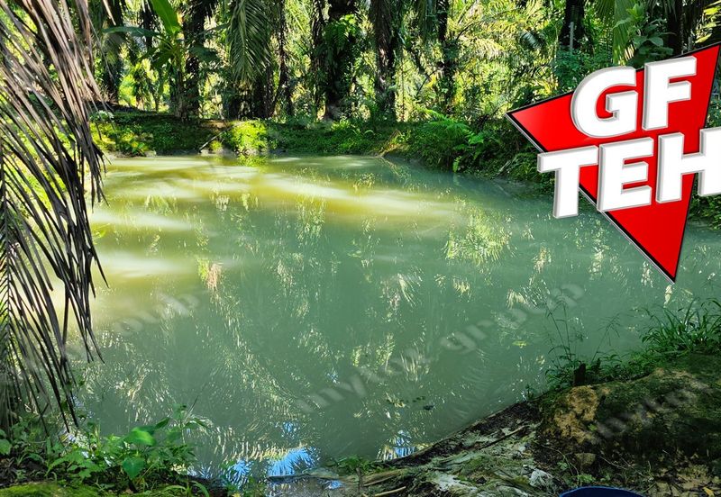 Kampung Baru Junjong