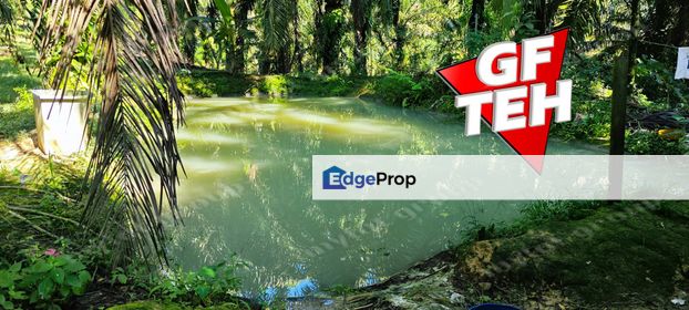 22.39 acres Agricultural Land (Hilly) | Junjong | Kulim | Kedah RM3.7 psf , Kedah, Kulim