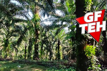 Kampung Baru Junjong