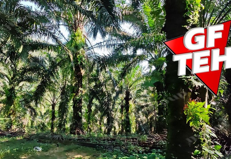 Kampung Baru Junjong