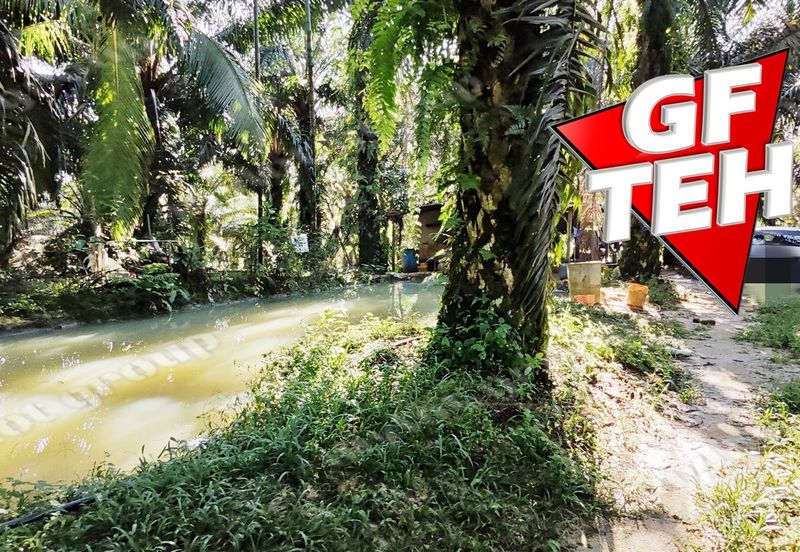 Kampung Baru Junjong