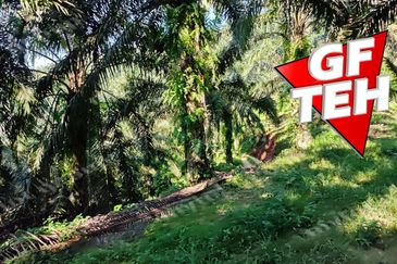 Kampung Baru Junjong