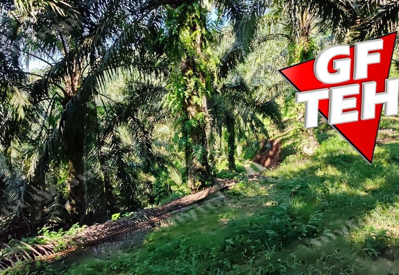 Kampung Baru Junjong